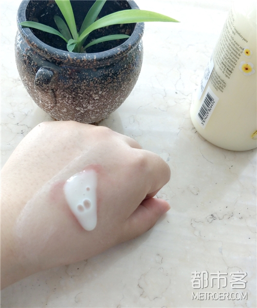 肌肤哲理08.jpg